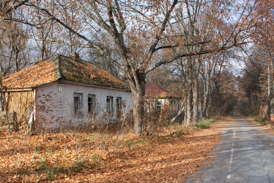 Chernobyl Autumn
