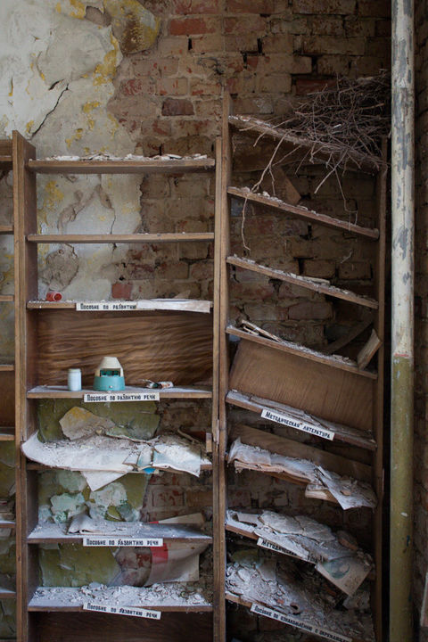 Chernobyl Bookshelves